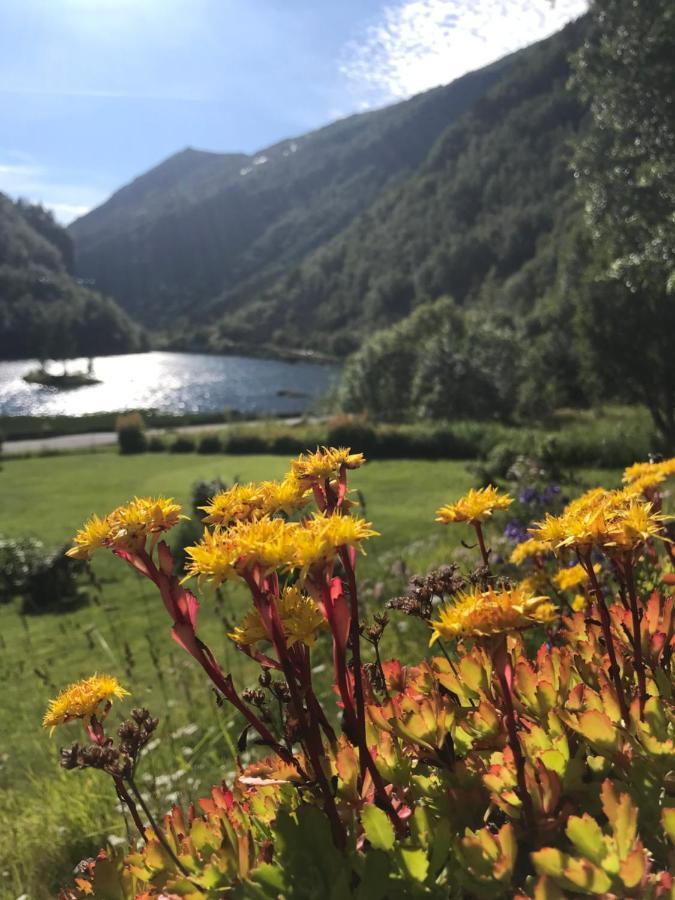 Trolltunga Skjeggedal Villa Eksteriør billede